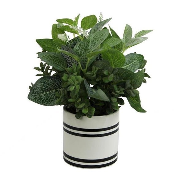 Adlmired By Nature Admired by Nature ABN5P024-NTRL Artificial Mixed Garden Foliage Plant with Striped Ceramic Pot - Green ABN5P024-NTRL